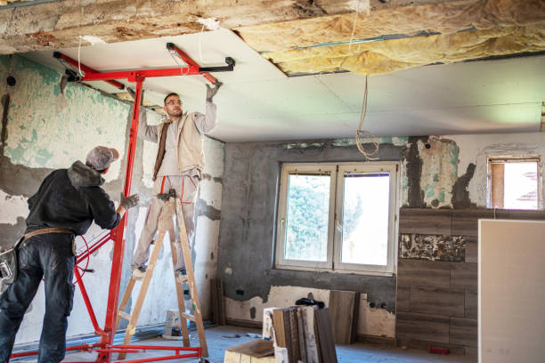 Best Insulation Maintenance and Repair in Russellville, AL